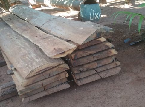 Polícia Militar Ambiental de Dourados autua assentado em R$ 3 mil por exploração de madeira em área protegida de matas ciliares de córrego