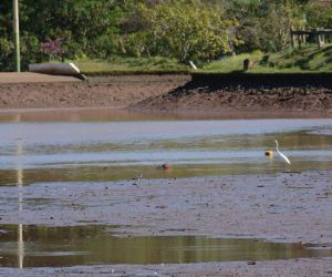 Lago já está sendo drenado e processo de desassoreamento começa amanhã