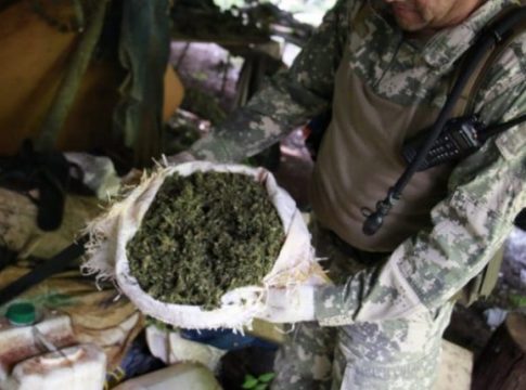 PF destrói 1,2 mil tonelada de maconha na fronteira de MS com o Paraguai
