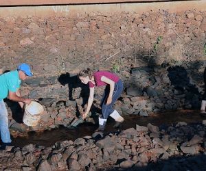 Imasul retira e monitora peixes que habitavam lago do Parque das Nações Indígenas