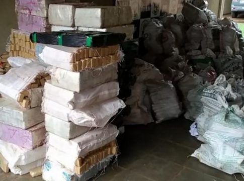 DOF encontra em fazenda de Amambai 4,5 toneladas de maconha