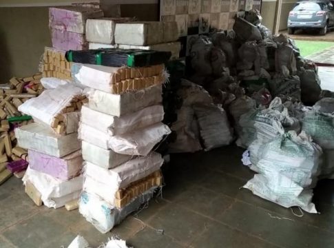 No 1º semestre, apreensão de maconha chega a quase 180 toneladas em MS