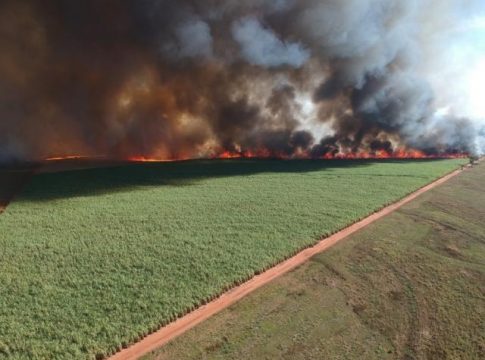 Incêndio destrói 840 hectares e usina é multada em R$ 953 mil pela PMA