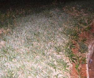 Recorde de frio, MS teve maior geada com temperatura abaixo de 0°C