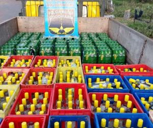 PM flagra caminhoneiro com mais de 3 mil bebidas contrabandeadas