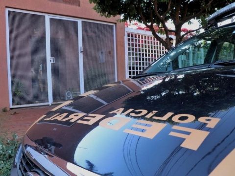Empresas são suspeitas de fraudar notas para comércio ilegal de madeira