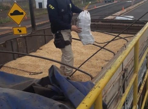 Polícia apreende outra carreta com maconha escondida em carga de milho