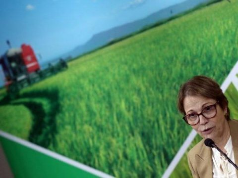 Bonito sedia encontro entre Brasil e 4 países para discutir agropecuária