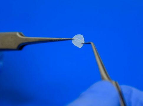 Laboratório produz pele humana para substituir testes em animais