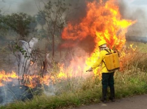 MS em chamas: em 1 dia, Estado teve quase 400 focos de queimadas