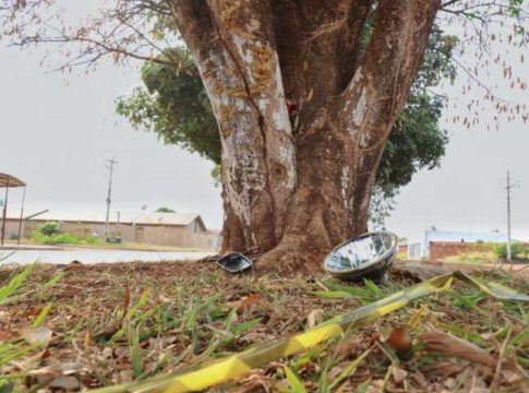 Motociclista rampa em lombada, sobe em canteiro e morre ao atingir árvore