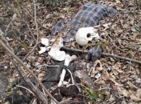 Com 5 ossadas encontradas em 15 dias, identificação depende de famílias