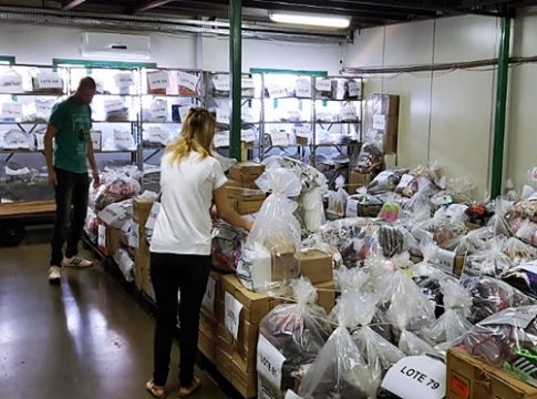 Sefaz realiza leilão on-line com mais de mil lotes de produtos