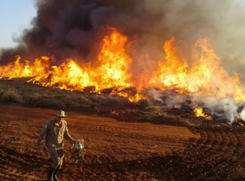 Com maior poder operacional, Bombeiros ampliam combate a incêndios florestais em MS