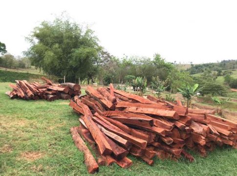 Dono de chácara é multado por armazenar madeira ilegal
