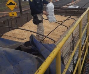 Caminhoneiro é preso transportando 4,4 toneladas de maconha