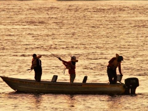 Movimento fraco deve marcar último final de semana de pesca liberada