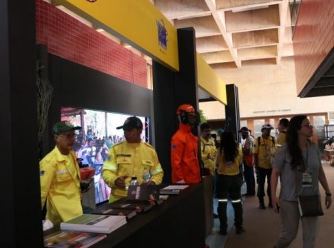 Para 40 países, MS aposta em “fogo contra fogo” para combater incêndios