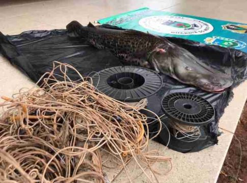Polícia Militar Ambiental prende dois por pesca predatória e apreende barco, motor de popa, 16 kg de pescado e petrecho ilegal de pesca