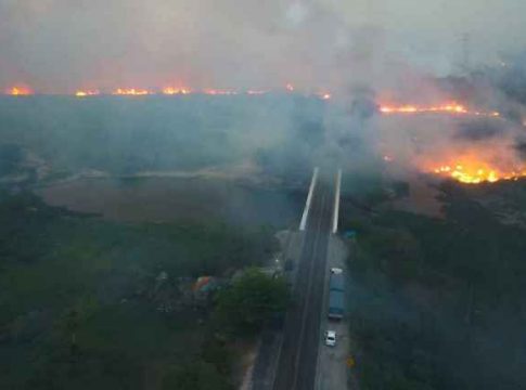 Perigo nas estradas e nos rios: incêndio no Pantanal tem labaredas de até 10 metros