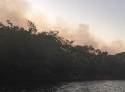 Bombeiros fazem sobrevoo em área atingida por incêndios em MS