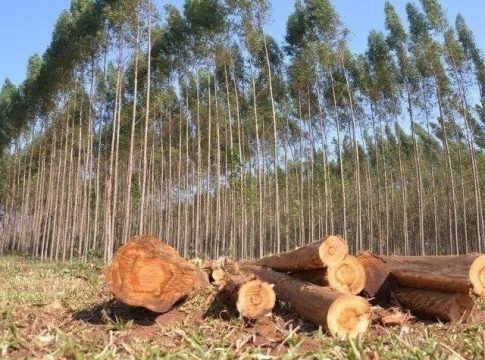 Sustentabilidade na produção de aço em MS é exemplo em debate na França