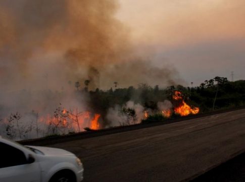 Focos de fogo no Pantanal em outubro são 2.109% maiores que em 2018