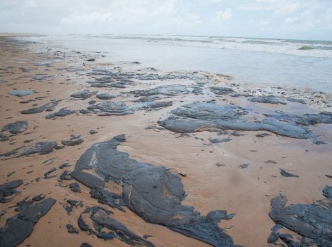 Petrobras retira mais de 200 toneladas de resíduo oleoso de praias
