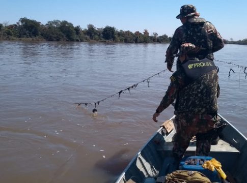 Com prioridade à prevenção da pesca predatória e ao tráfico de papagaios PMA deflagra operação Padroeira do Brasil