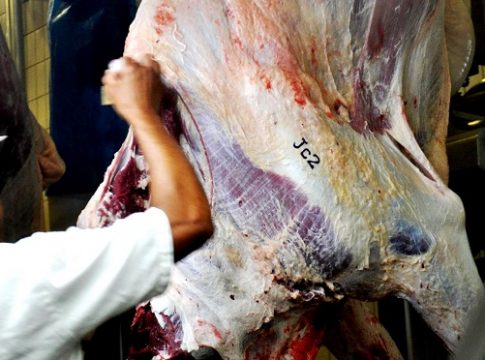 Precoce MS tem 1,6 milhão de animais abatidos desde 2017