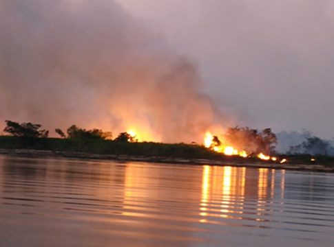 Aeronave auxilia bombeiros no combate a novos incêndios no Pantanal de MS