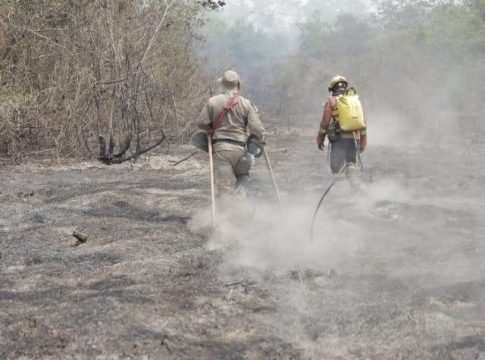 Evento em MS terá ministro e mais 70 países para discutir queimadas