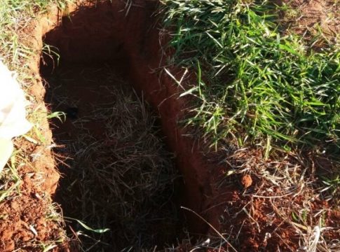 Abriu uma cova, ameaçou de morte e agrediu o pai com tijoladas