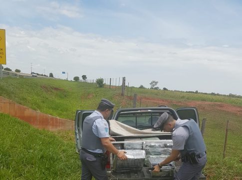 Caminhonete furtada no MS é recuperada lotada de droga em São Paulo