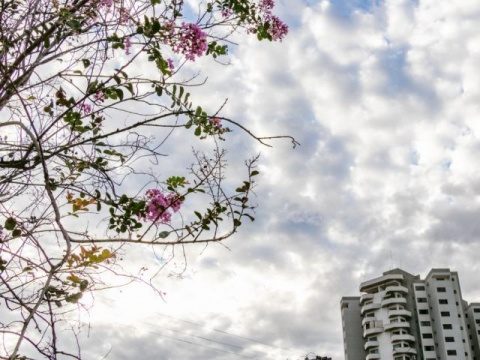 Meteorologia prevê sexta-feira de céu nublado e máxima de 32°C em MS