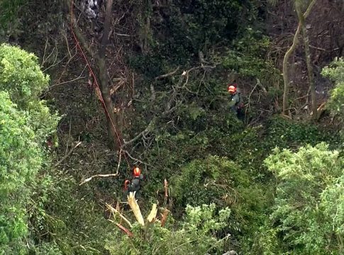 Avião cai na região da Serra da Cantareira, em SP