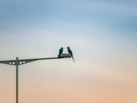 Dia será de altas temperaturas e alerta de temporais em MS