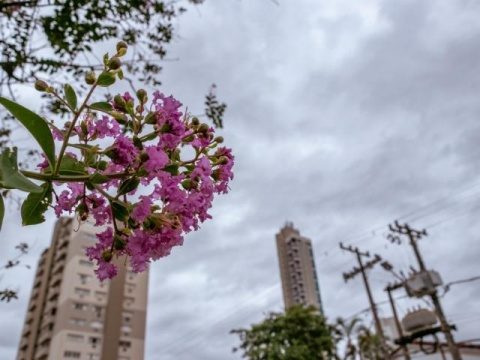 Inmet prevê quarta-feira de mais chuva em todo Mato Grosso do Sul