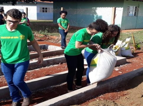 Iniciativas de Escolas Estaduais beneficiam o meio ambiente