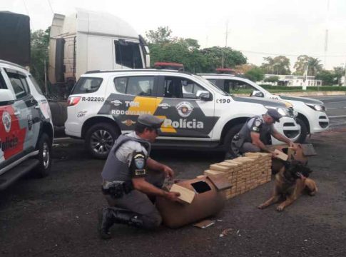 Cães farejam cilindros com 135 quilos de cocaína avaliados em R$ 1,3 milhão