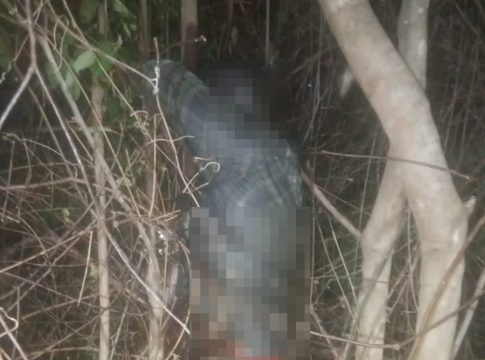 Corpo em decomposição é encontrado nas margens de estrada em MS