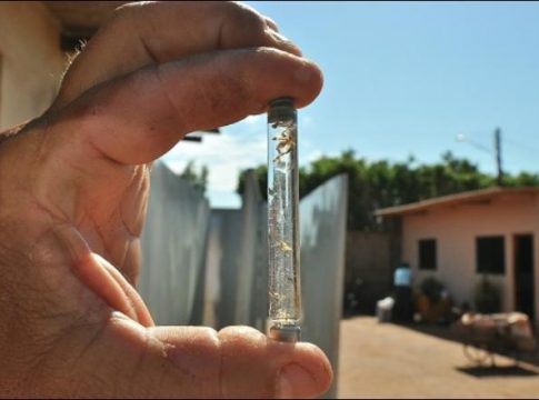 Menino de 9 anos é a 11ª vítima da dengue em Mato Grosso do Sul