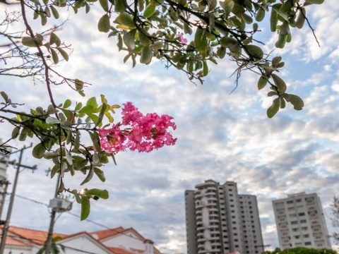 Alerta de chuva forte ainda vale e máxima chega aos 36ºC em MS nesta quarta