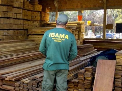 A cada R$ 56 em multas aplicadas pelo Ibama em MS, apenas R$ 1 é pago