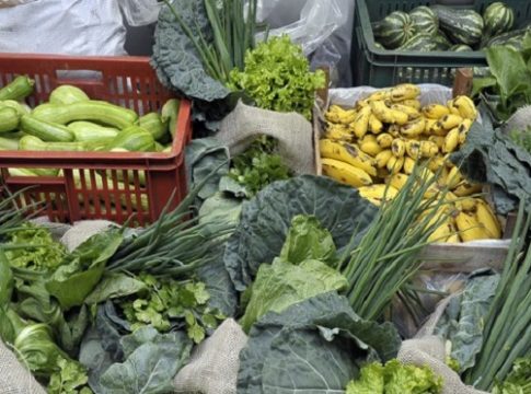 Escolas estaduais estão com editais abertos para compra alimentos da agricultura familiar