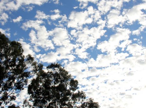 Sexta-feira de calor e chuva de verão em Mato Grosso do Sul