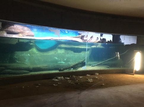 Aquário do Pantanal lança novo edital para impermeabilizar 32 tanques
