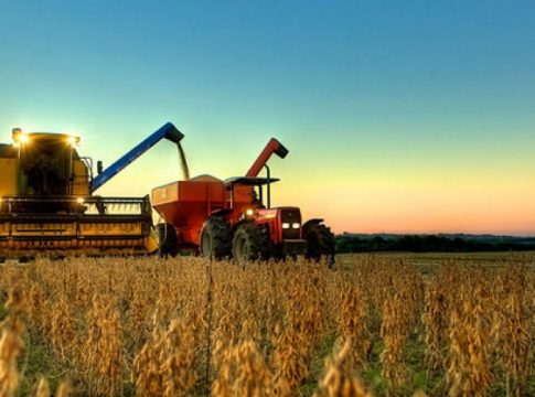 Agropecuária pode levar MS ao 3º maior crescimento do País em 2020