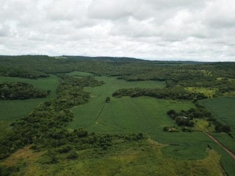 PMA aplica R$ 181 mil em multa por 172 hectares de desmatamento