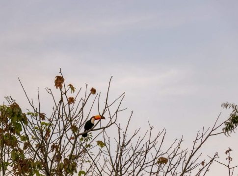 Com máxima de 36°C em MS, chuva começa a chegar pela região sul